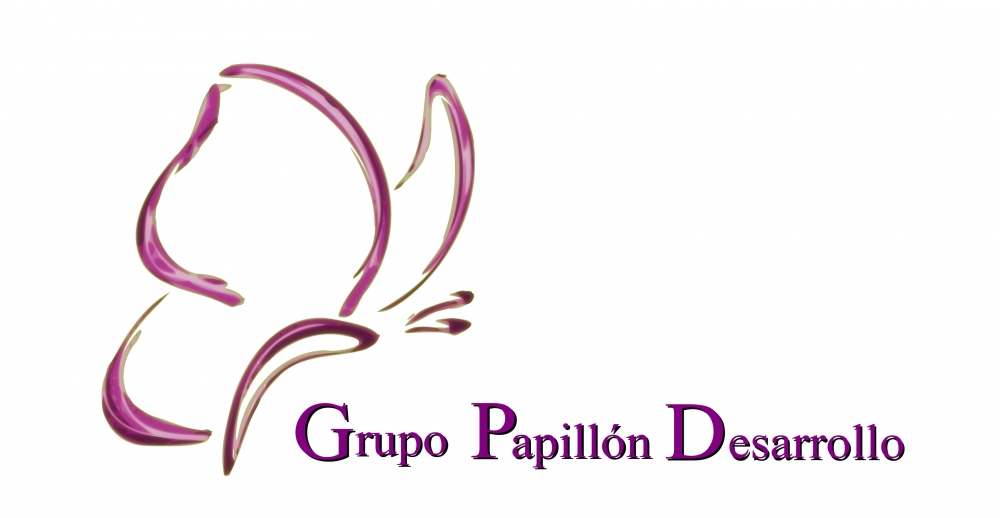 Grupo Papillón Desarrollo